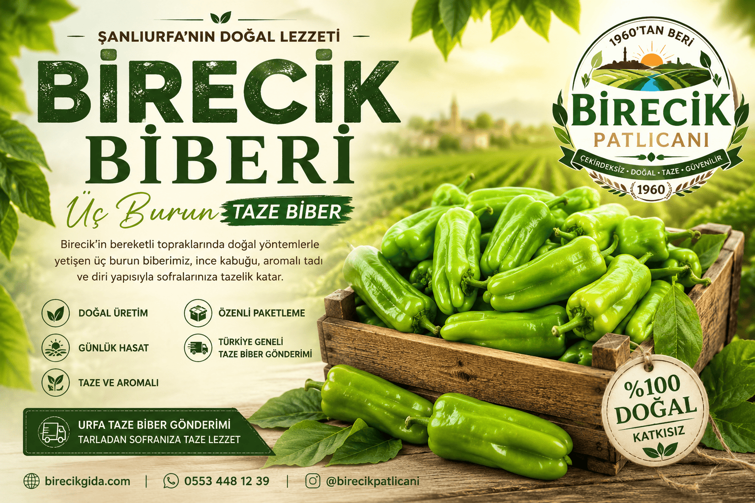 Birecik Yeşil Biberi Satışı